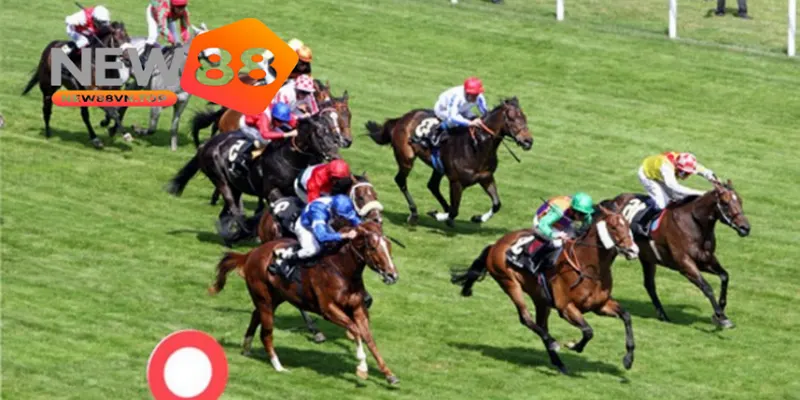 Cá cược đua ngựa tại New88 được nhiều người chơi yêu thích. Cá cược đua ngựa tại New88 được nhiều người chơi yêu thích.