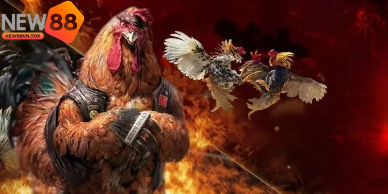 Người chơi cần cập nhật đầy đủ luật chơi đá gà để có lựa chọn cược chính xác Người chơi cần cập nhật đầy đủ luật chơi đá gà để có lựa chọn cược chính xác