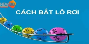 cach bat lo roi chinh xac