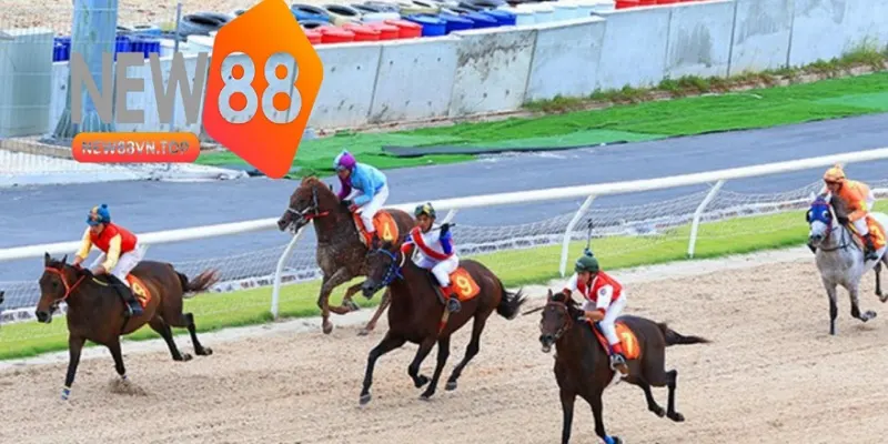 cach ca cuoc trong dua ngua