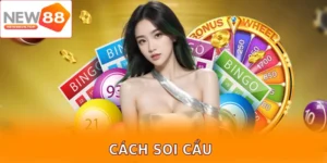 cach soi cau
