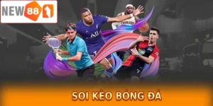 Hướng dẫn soi kèo bóng đá hiệu quả, chuẩn chỉnh tại New88